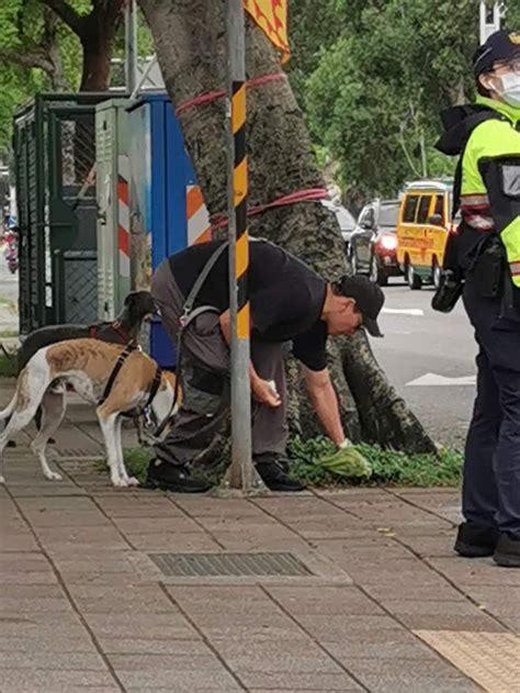 採到狗大便